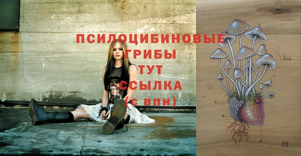 сатива Волоколамск