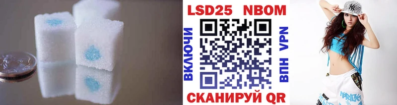 kraken маркетплейс наркошоп Ипатово Лсд 25 экстази кислота